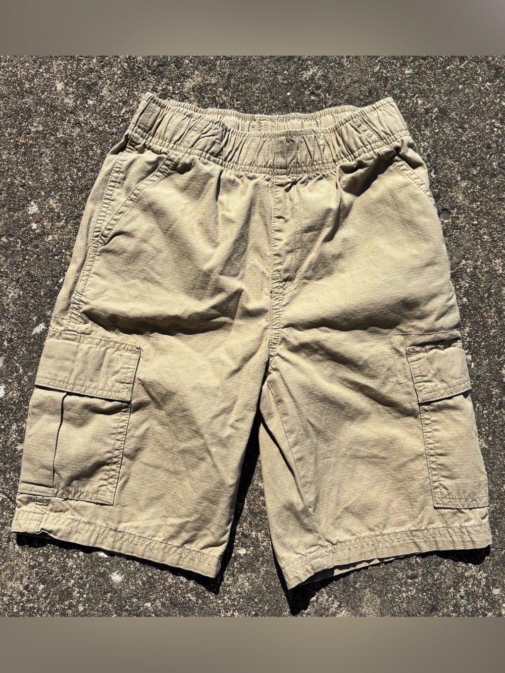 Place Men's Cargo Shorts in Tan